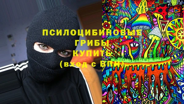 спиды Абинск