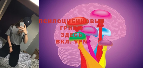 молекула духа Алзамай