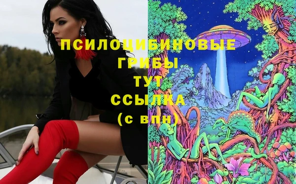 спиды Абинск