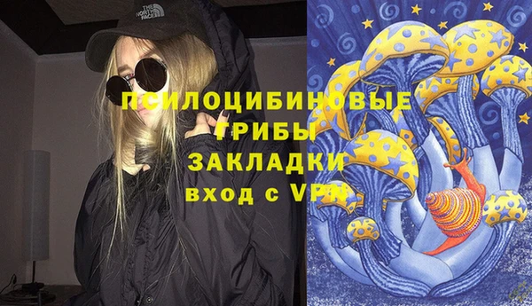 молекула духа Алзамай