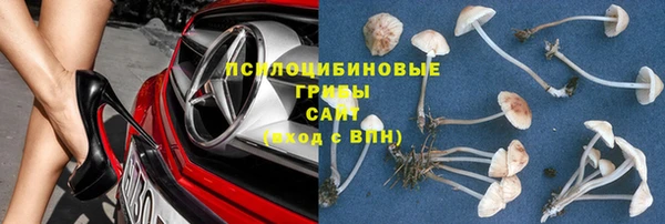 молекула духа Алзамай