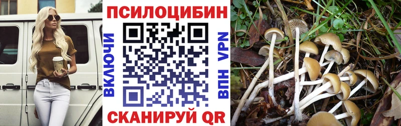 Галлюциногенные грибы Magic Shrooms  Разумное 